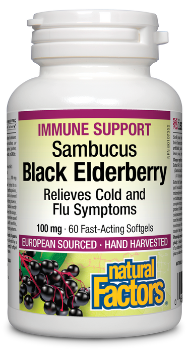 Natural Factors Black Elderberry Standardized Extract 100 mg 60 Softgels
