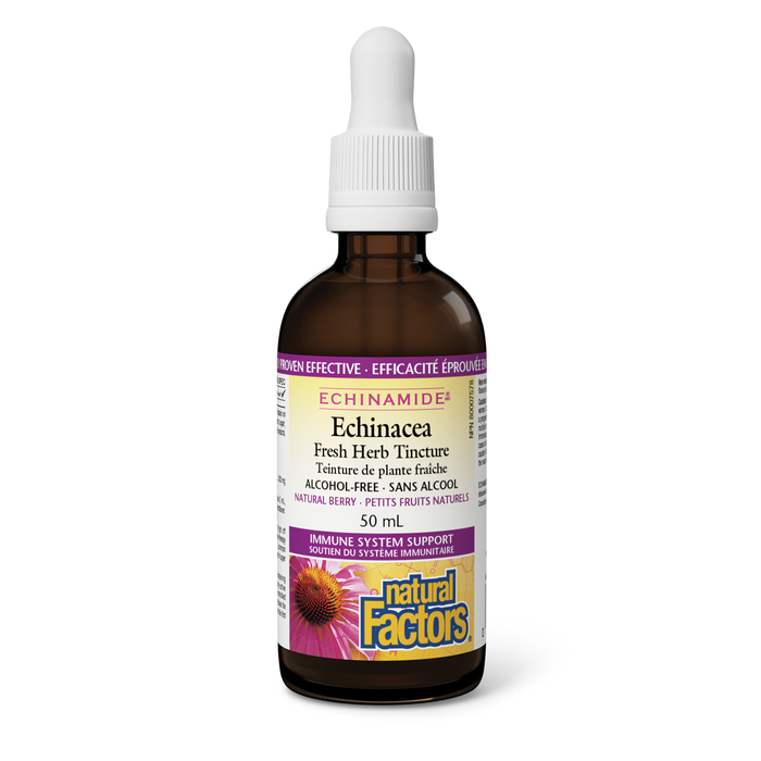 Natural Factors Echinacea Fresh Herb Tincture Alcohol-Free 50 mL Tincture Natural Berry