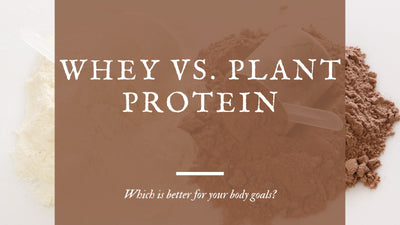 Whey vs. Plant Protein: Which Is Better for Your Body Goals?
