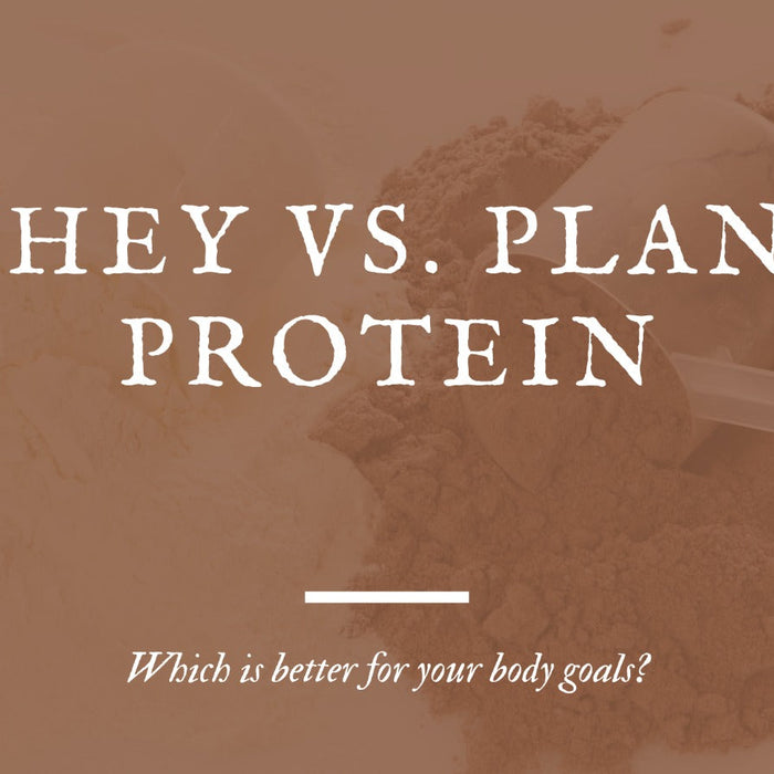 Whey vs. Plant Protein: Which Is Better for Your Body Goals?