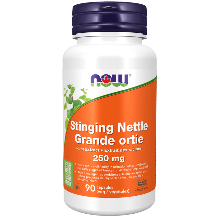 Now Stinging Nettle Root Extract 250mg 90 Veggie Caps