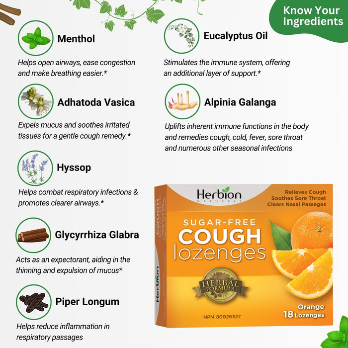 Herbion Sugar Free Cough Lozenges Orange 18 Lozenges