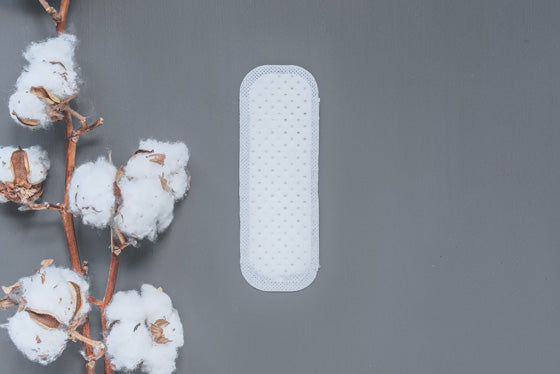 Natracare Organic Mini Panty Liners 30 Liners