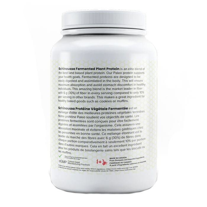 Schinoussa Phyzik Fermented Plant Protein Vanilla Ice Cream 454g