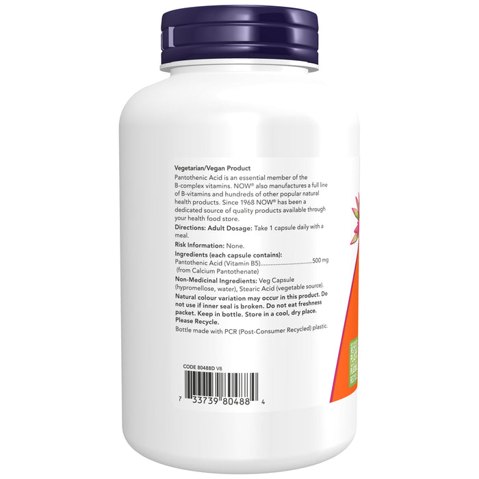 NOW Pantothenic Acid 500mg 250 Capsules