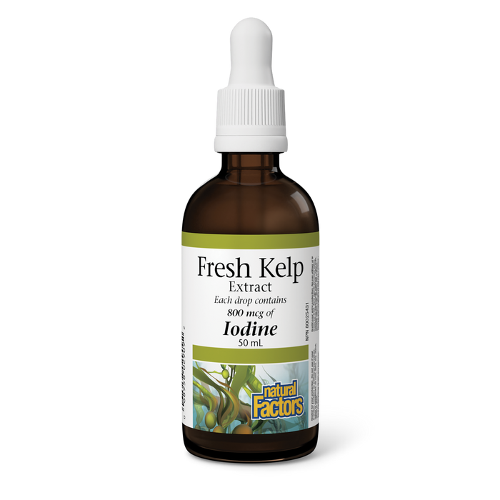 Natural Factors Fresh Kelp Extract 800 mcg of iodine 50 mL Liquid